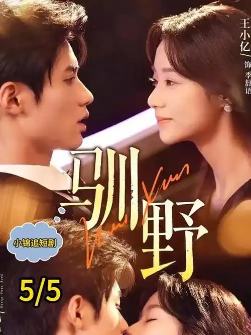 离婚后她惊艳了全球都市短剧在线观看视频封面